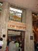lionhabitatatmgm_small.jpg