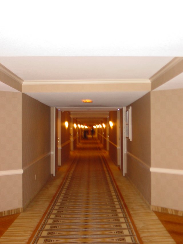 thehotelhallway.jpg